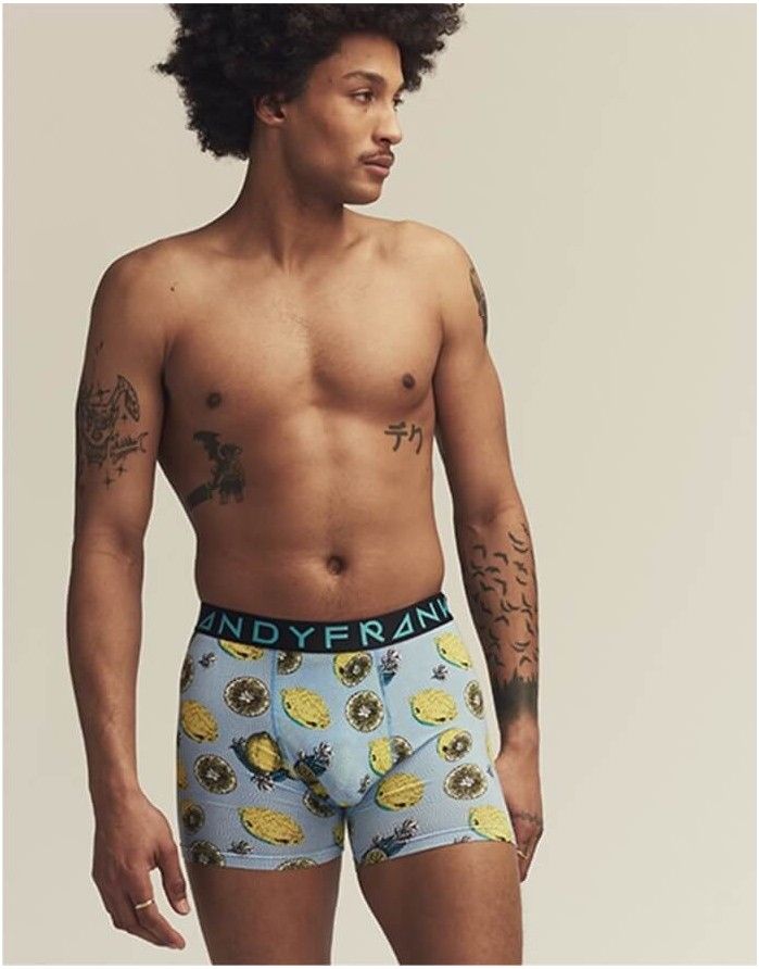 Meeste aluspüksid "Lemonade Boxer"