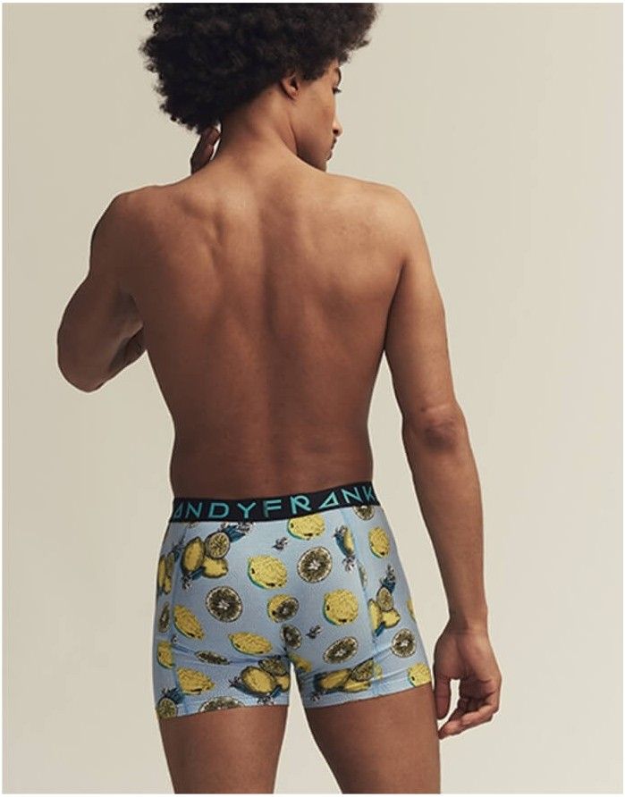 Meeste aluspüksid "Lemonade Boxer"