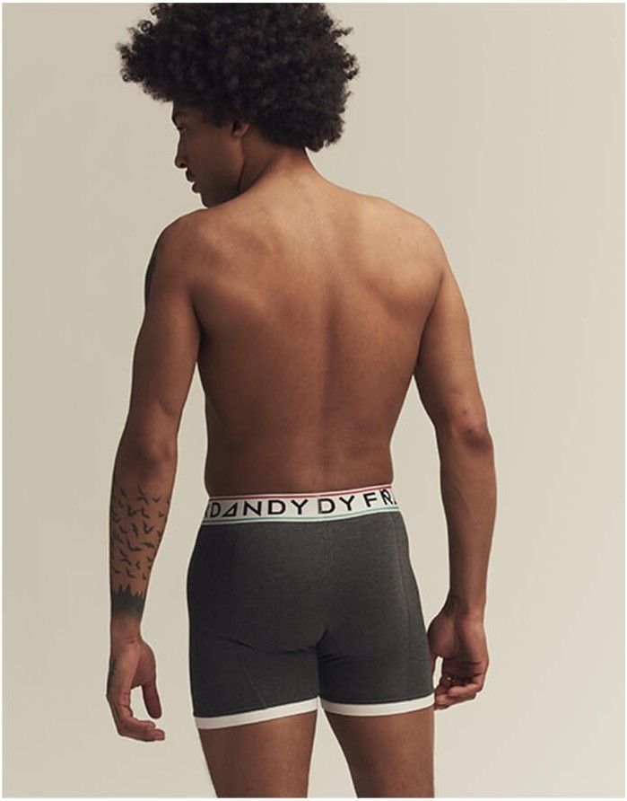 Men's Panties "Esteban Grey"