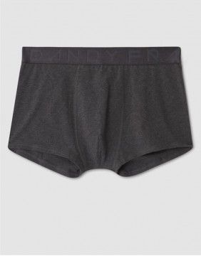 Meeste aluspüksid "Legend Organic Trunk"
