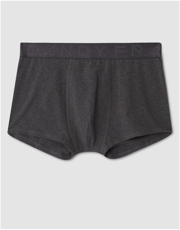 Meeste aluspüksid "Legend Organic Trunk"