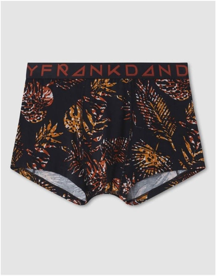 Men's Panties "Hidden Tiger"
