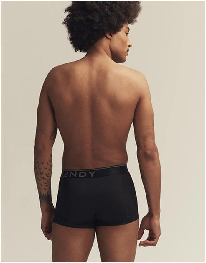 Meeste aluspüksid "Legend Mesh Trunk"