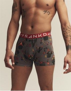 Meeste aluspüksid "Cactus Boxer"