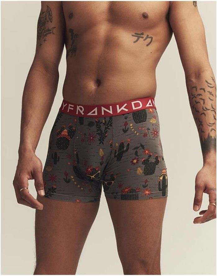 Meeste aluspüksid "Cactus Boxer"