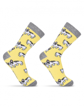 Children's socks "Bulldog Friend"