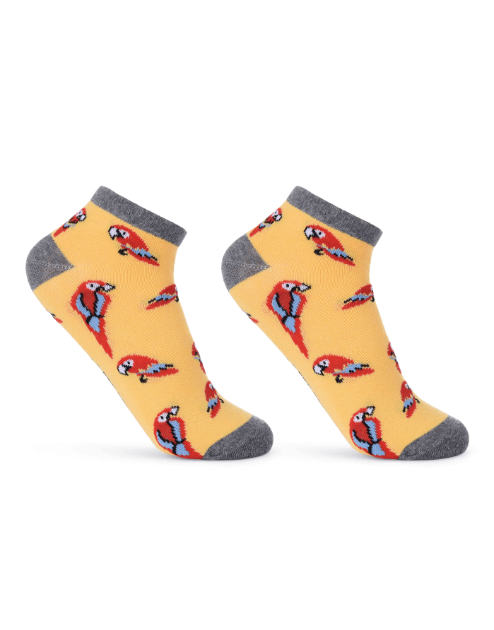 Children's socks "Parrot"