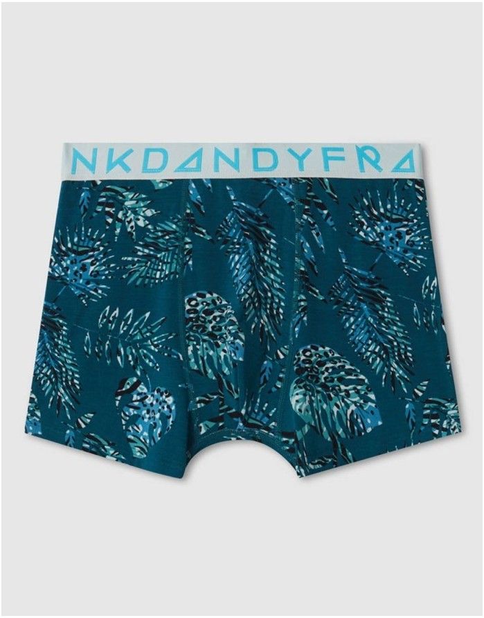 Meeste aluspüksid "Hidden Tropic"