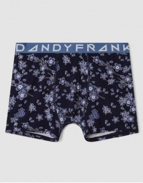 Meeste aluspüksid "Sakura Boxer"