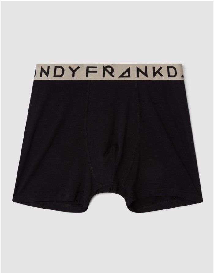 Meeste aluspüksid "Solid Sand Boxer"