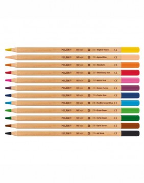 Colored pencils Metal Box Thick Lead 12 pcs