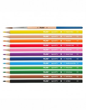 Colored pencils "Acuarelable Stroke" 12 pcs