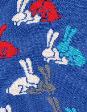 Meeste sokid "Happy Bunnies"
