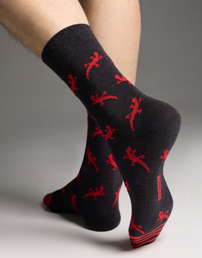 Meeste sokid "Happy  Lizards"