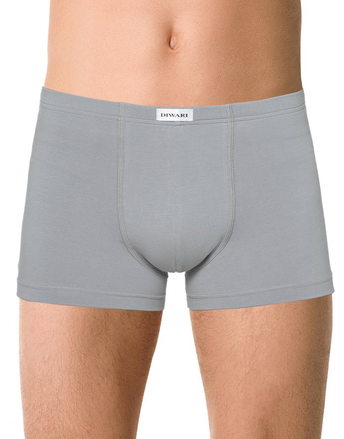 Men's briefs "Wyatt Light Grey"