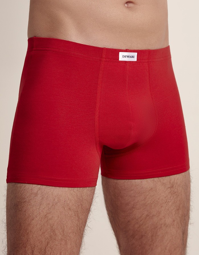 Men's briefs "Wyatt Dark Red"