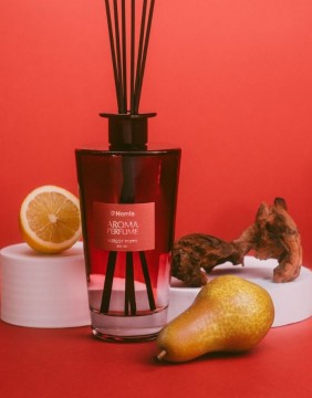 Kodu lõhn "Merlot Poppy" 500 ml