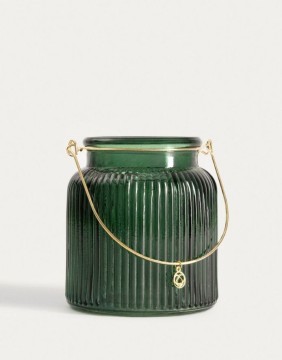 Küünlajalg "Green Line"