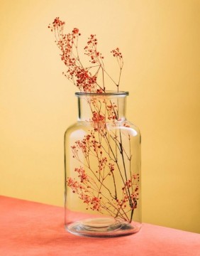 Vaas "Tenno Transparent"