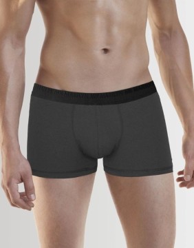 Men's briefs "Boxers Pro Grey"