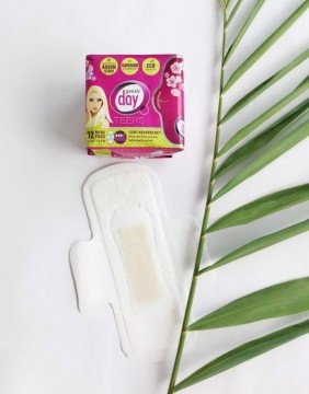 Tiibadega hügieenisidemed GENTLE DAY Teens Mini 12 tk