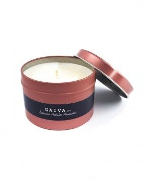 Väike sojavahaküünal "Gaiva"