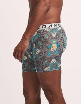 Meeste aluspüksid "Paisley Scull"