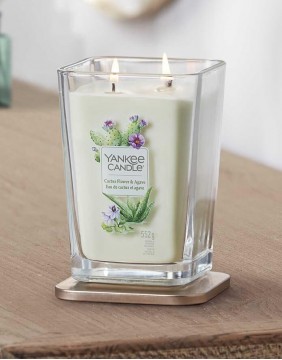 Scented candle YANKEE CANDLE, Cactus Flower & Agave, 552 g