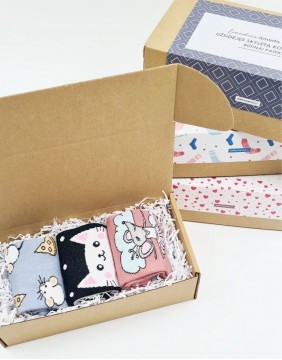 Socks Gift set for HER "Mouses and Cats"